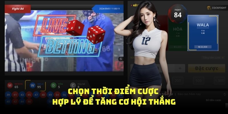 chọn thời điểm cược hợp lý để tăng cơ hội thắng