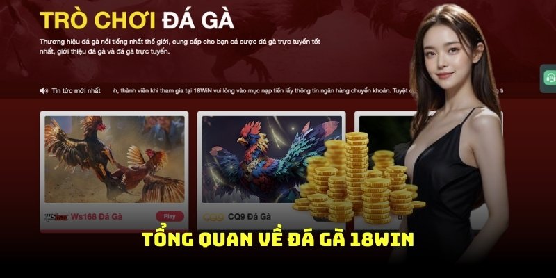 tổng quan về đá gà tại 18win8