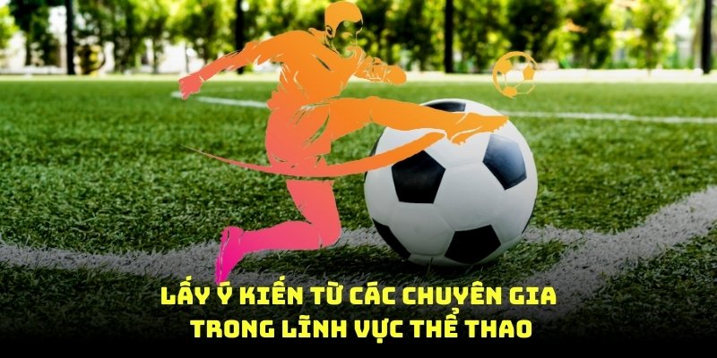 Lấy ý kiến từ các chuyên gia trong lĩnh vực thể thao