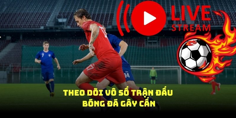 theo dõi vô số trận đấu bóng đá gây cấn